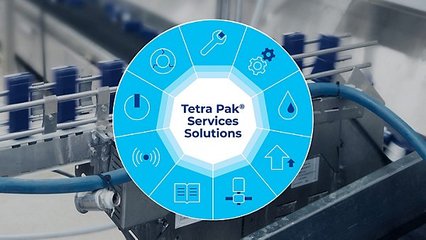 技術(shù)服務(wù)